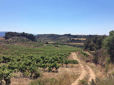 Abadía de Poblet