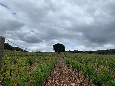 Cortijo Los Aguilares