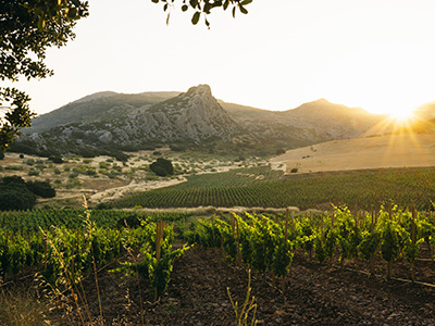 Cortijo Los Aguilares