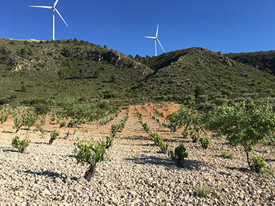 Parajes del Valle