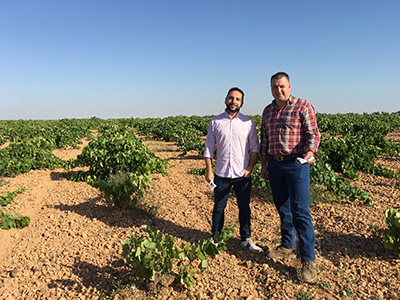 Garage Wine (Bodegas Toledo & Ajenjo)