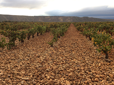 Finca Valpiedra