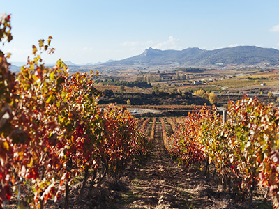 Bodegas Bilbaínas