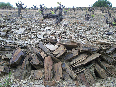 Terroir al Limit